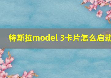 特斯拉model 3卡片怎么启动